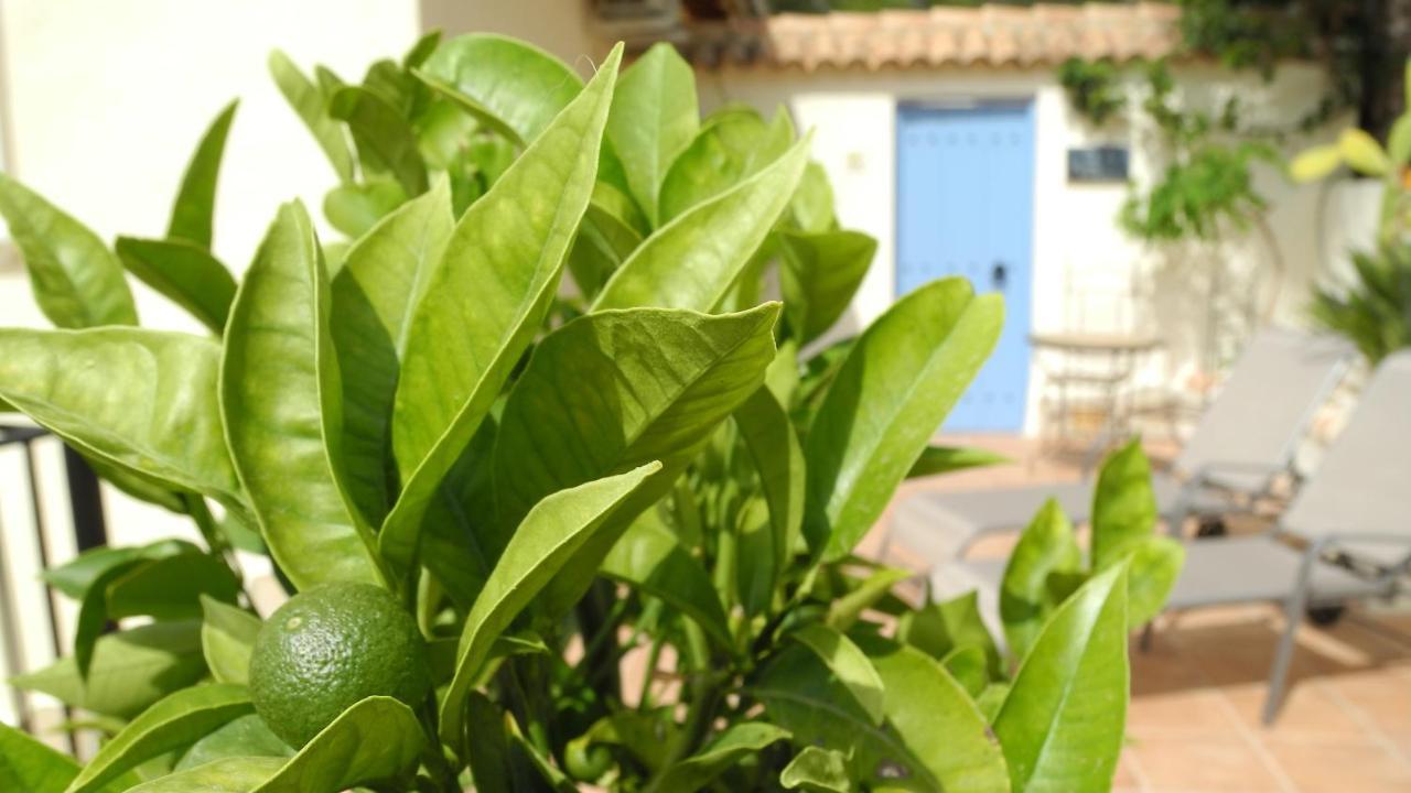 Casa Romero Lliber Bagian luar foto